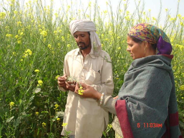 Kamlesh's way to Sehgal Foundation